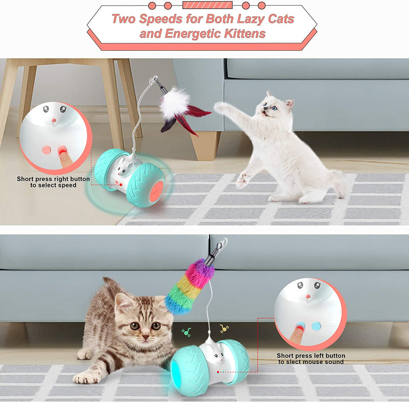 Interactive Cat Toy with Mouse and 3 Feathers for Cats to Play and Exercise - laorstore